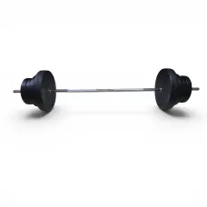 Штанга EVG-SPORT 45 кг